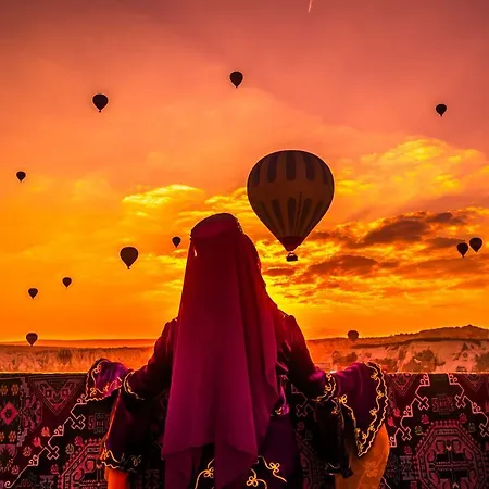 فينيارد كايف فندق 2*